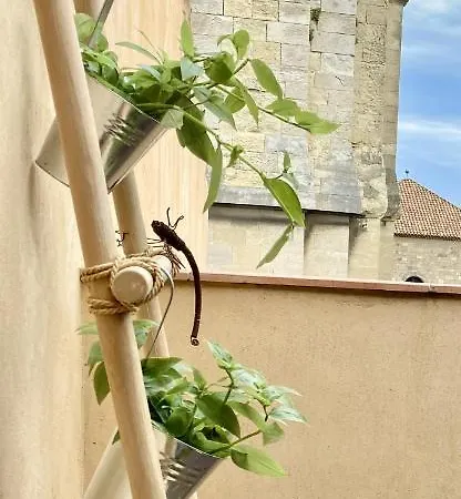 Apartment Tresors De La Cathedrale, Maison De Sur 4 Niveaux Narbonne