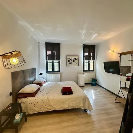 Tresors De La Cathedrale, Maison De Sur 4 Niveaux Apartman Narbonne