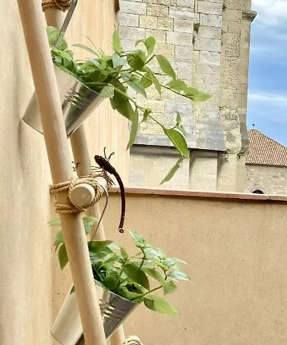 Apartment Tresors De La Cathedrale, Maison De Sur 4 Niveaux Narbonne